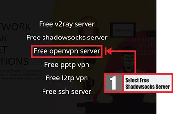 The second step is how to use openvpn on windows