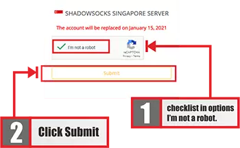 Check the Imported Profile - Shadowsocks WebSocket on Windows