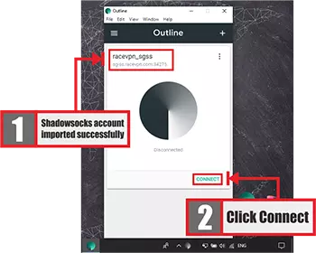 Check the Connection Status - Shadowsocks WebSocket on Windows